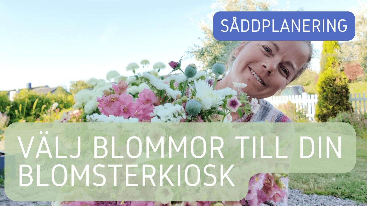 Hur du väljer blommor att odla till försäljning 💐