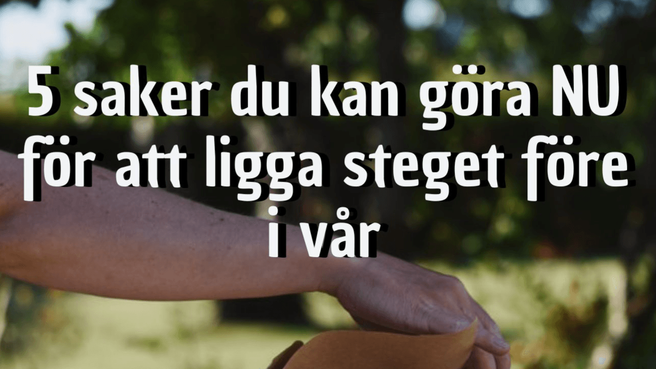 Gratis Guide - Gör detta NU -> steget före i vår!