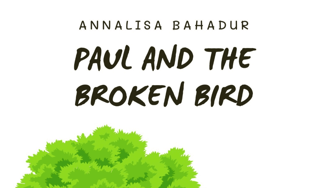 Paul and The Broken Bird