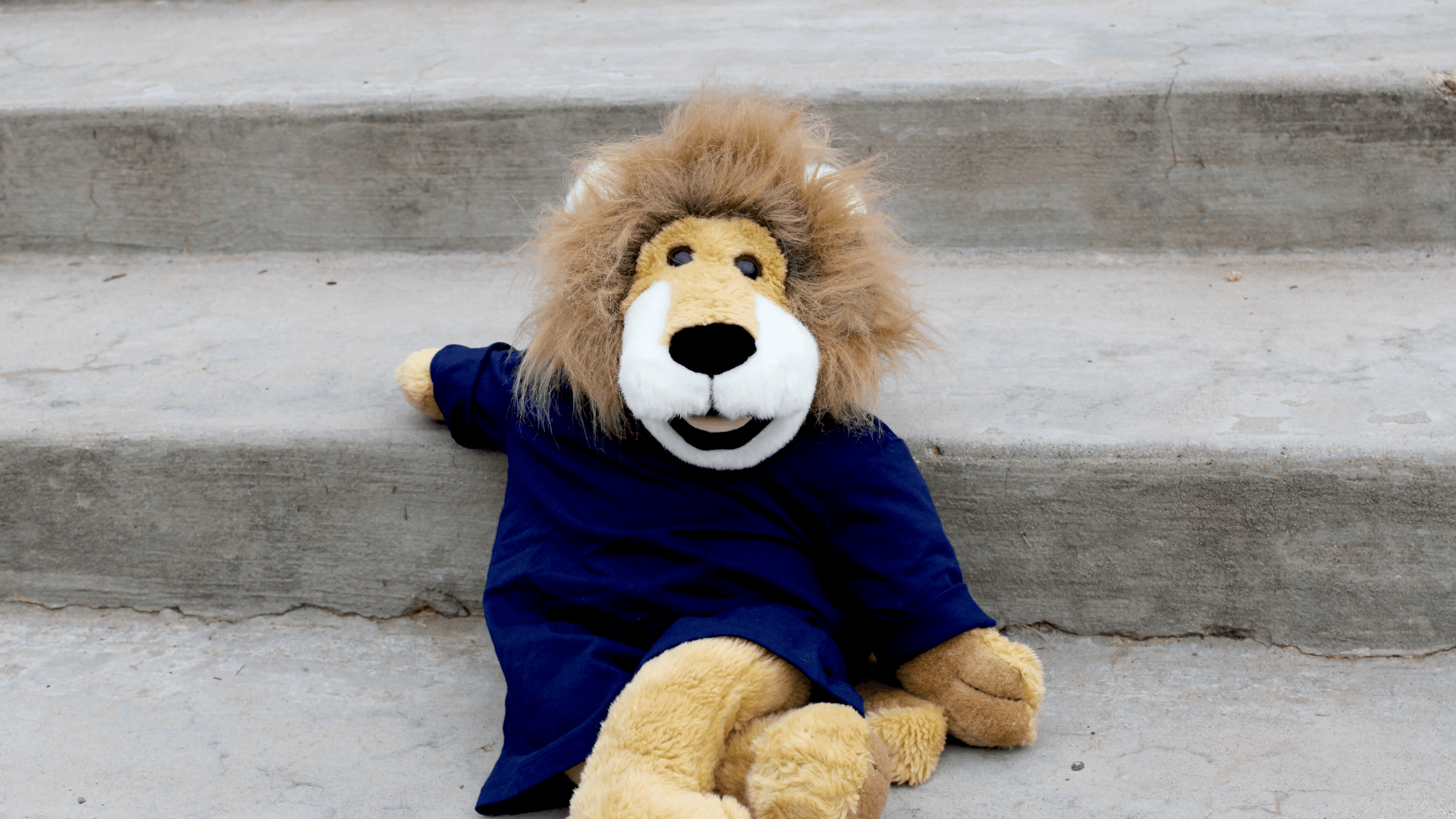 A Personal Message from Roland The Lion