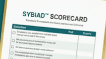 Business Launch Readiness Scorecard