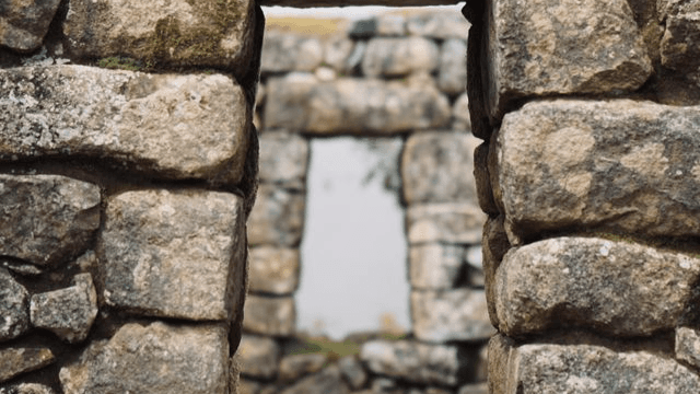 FREE Embodiment Portal 