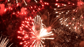 FREE 4th of July Dog Safety Guide 