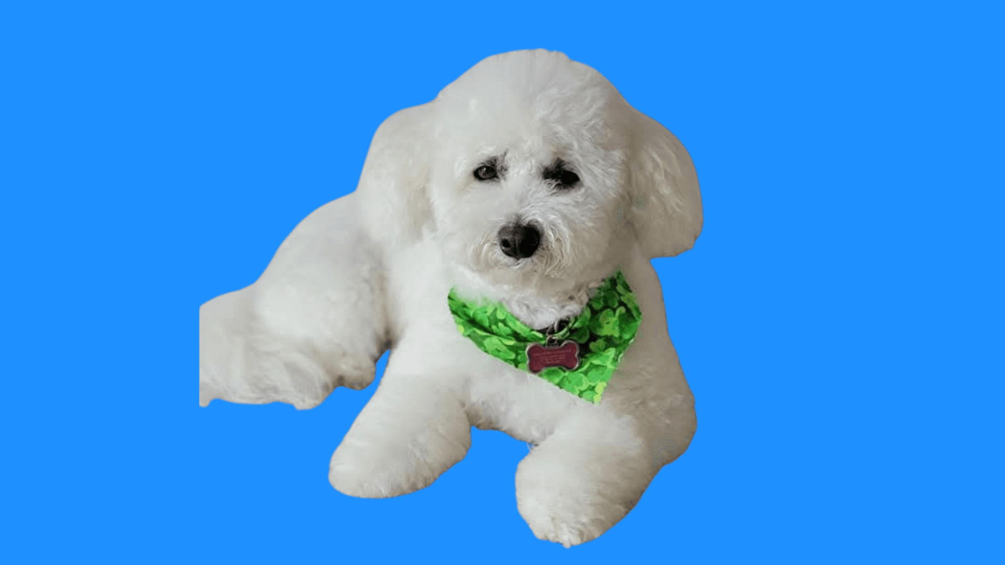 Join the Coco Cares Community
