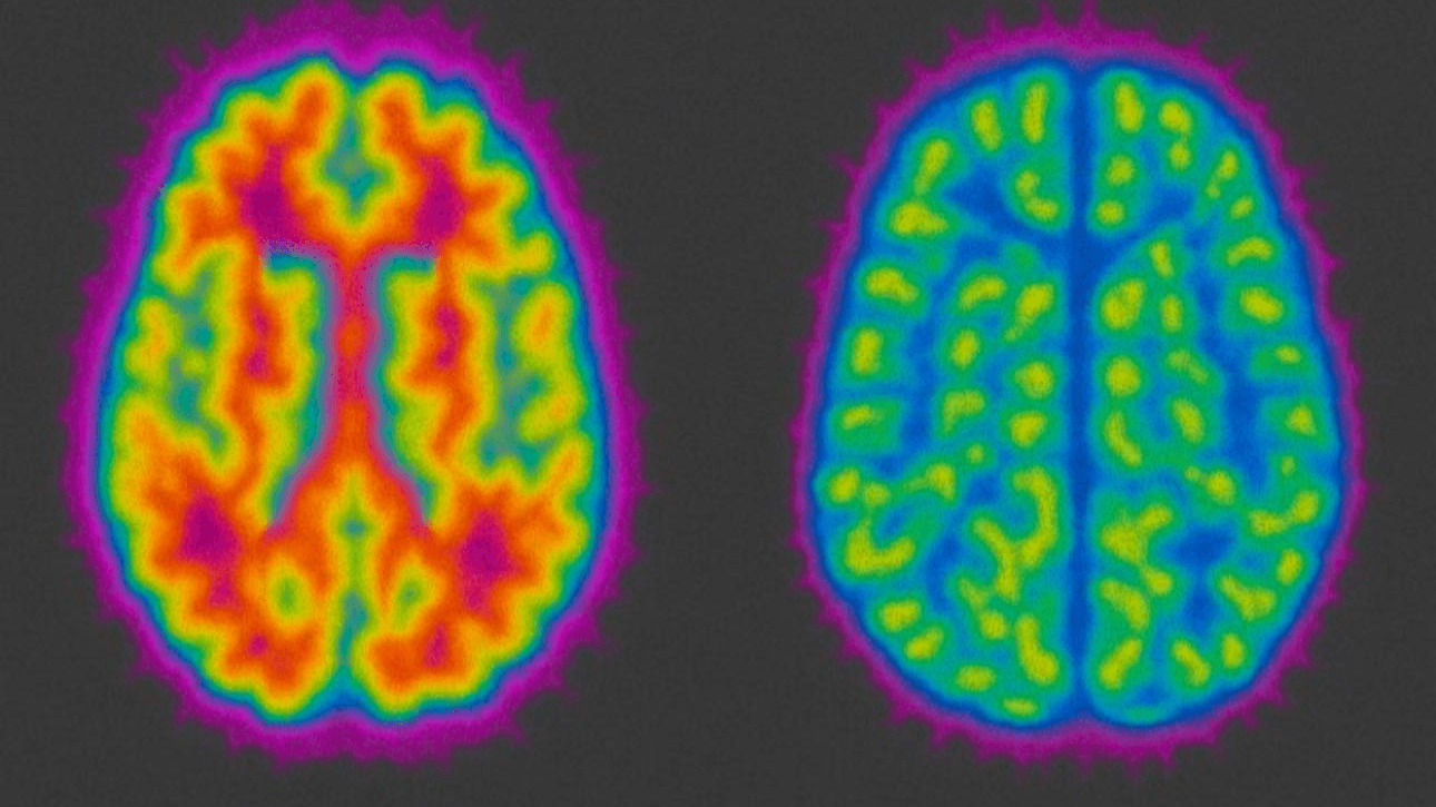 Executive Functioning Mini Guide