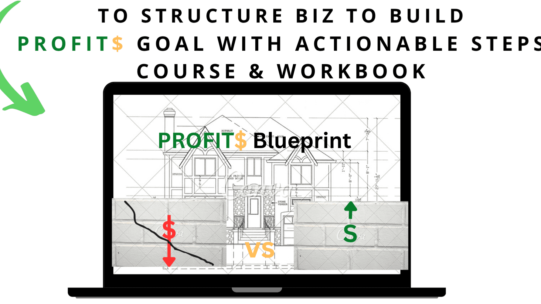 PROFITS Blueprint Course & Workbook