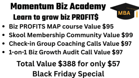 Momentum Biz Academy Black Friday Sale 30 Spots