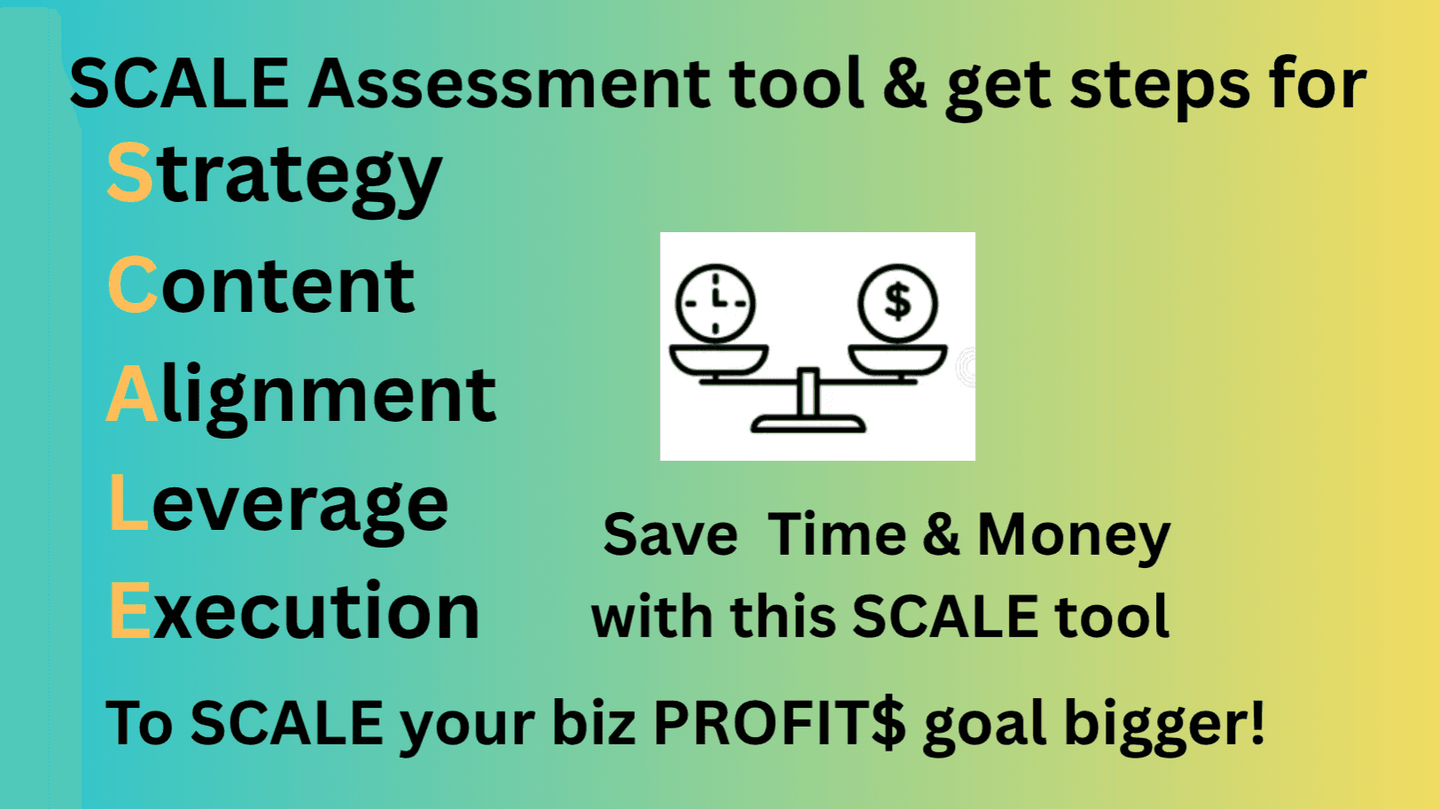 BIZ SCALE ASSESSMENT KIT code SCALE get for FREE