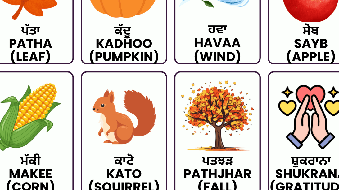 Fall Vocabulary Flashcards