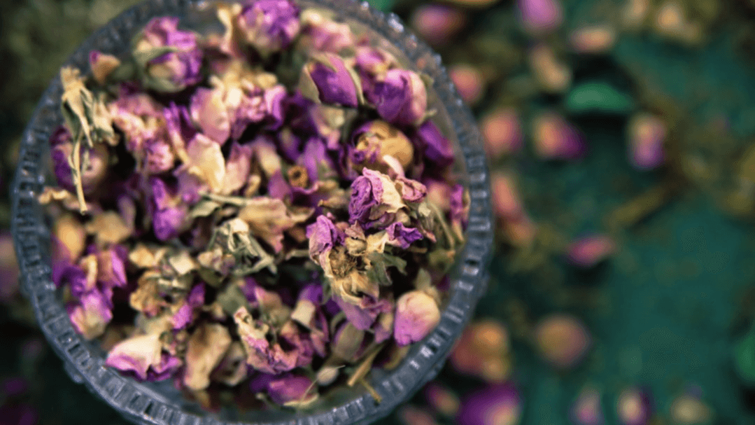 Join the Herbal Resistance Community