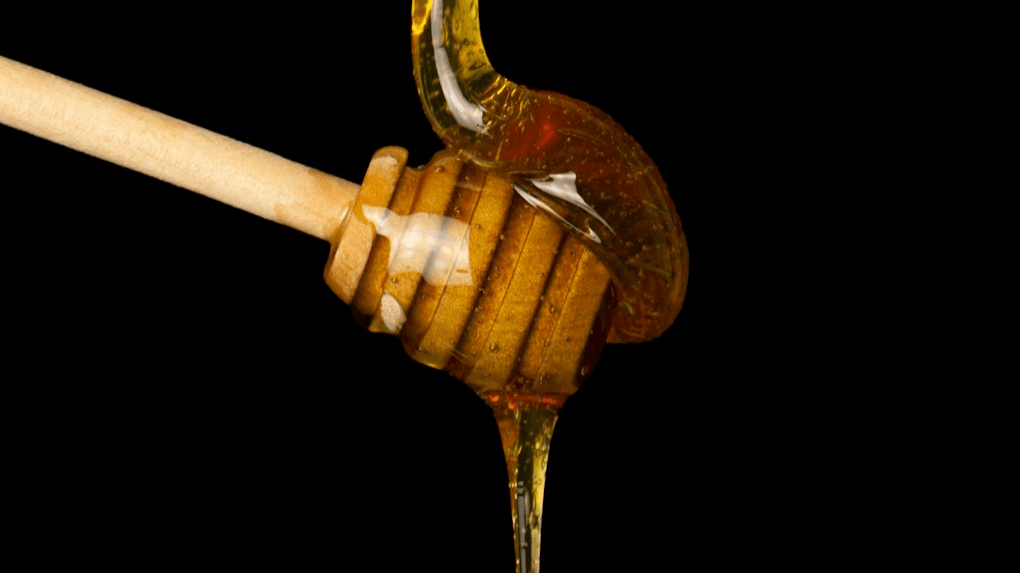Get My Infused Honey & Oxymels Ebook Now!