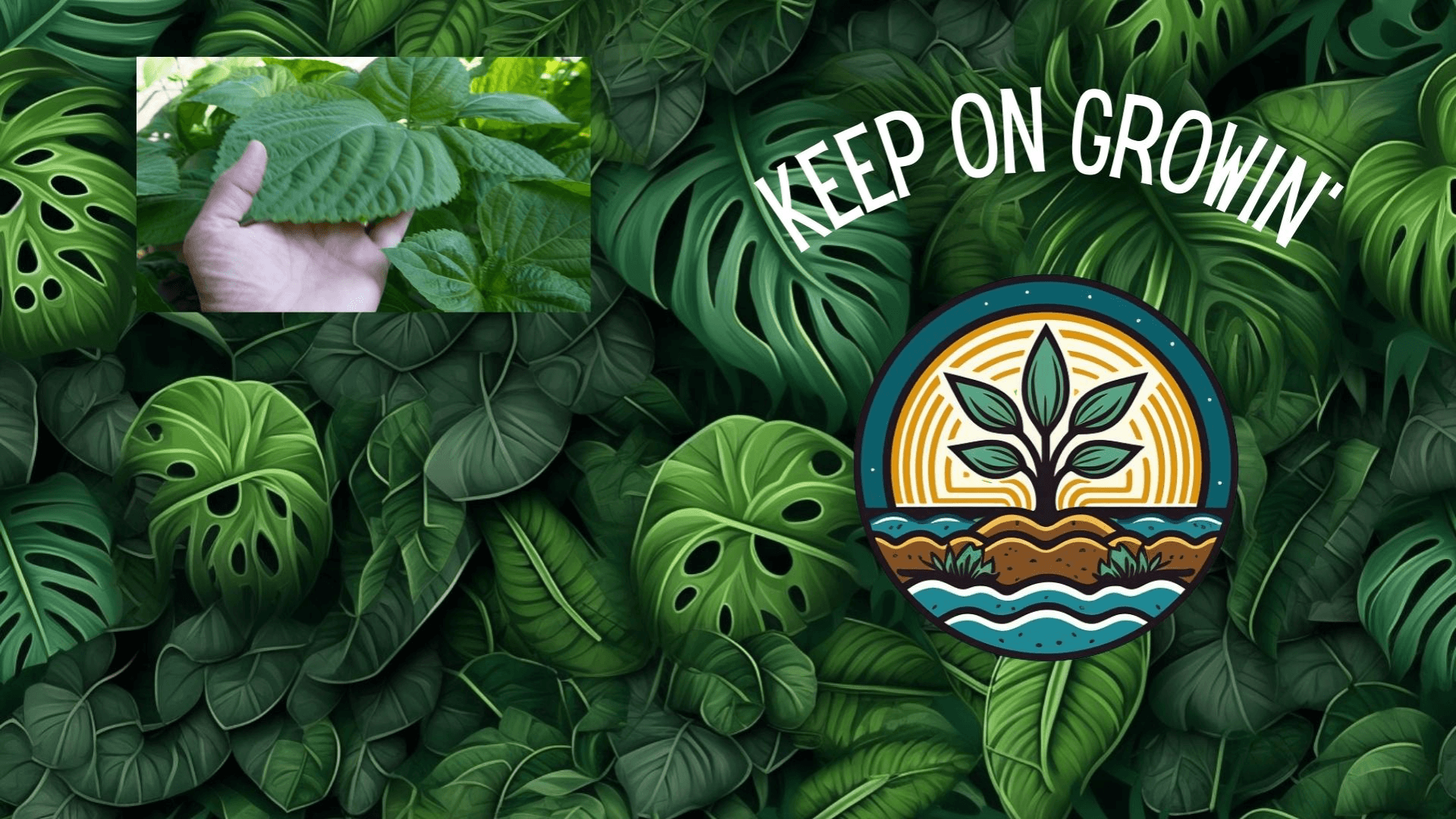 Grow Food Fast Now!