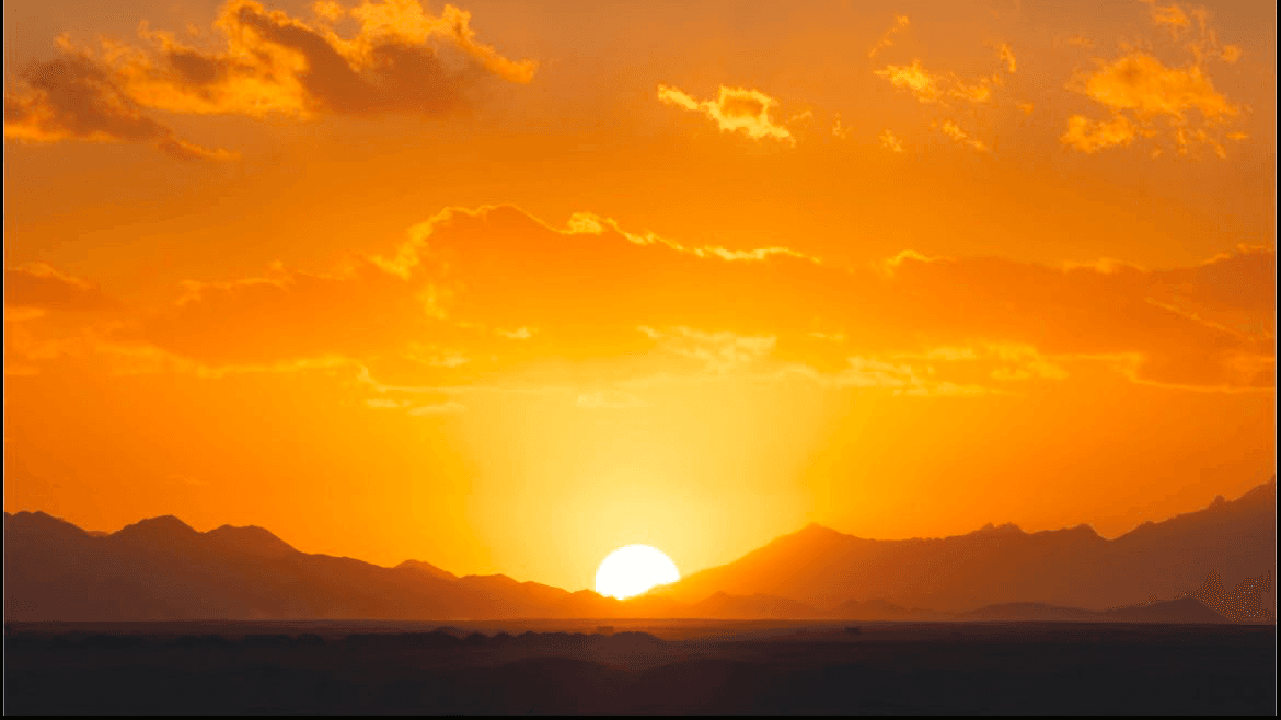 SomaBay Real Estate Starter Guide