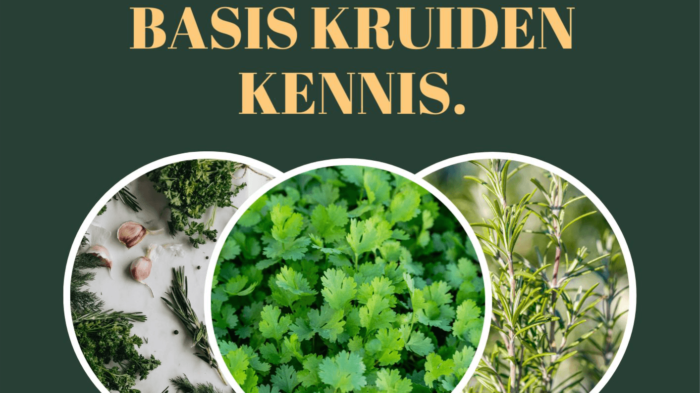 basis kruiden kennis