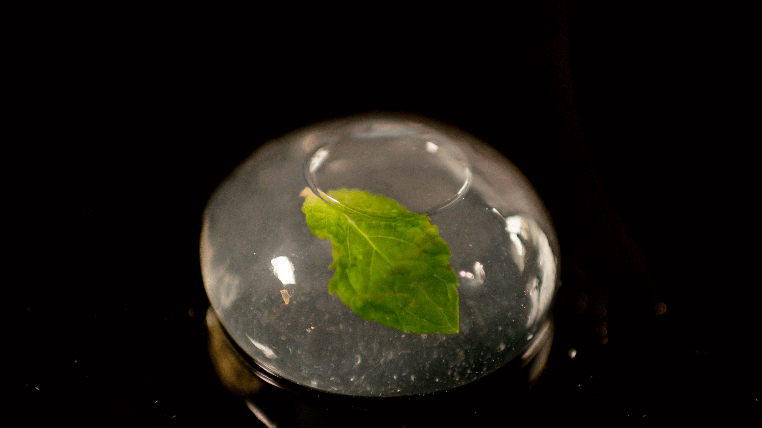 Cocktail Pod Recipes and Written Tutorial