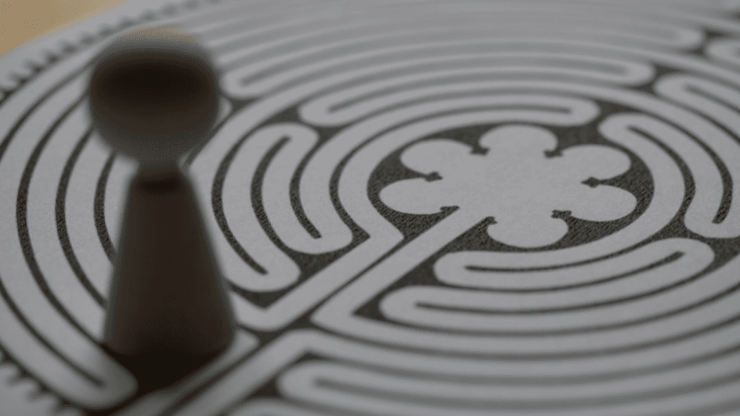 Wild & Wonderful Maze Races