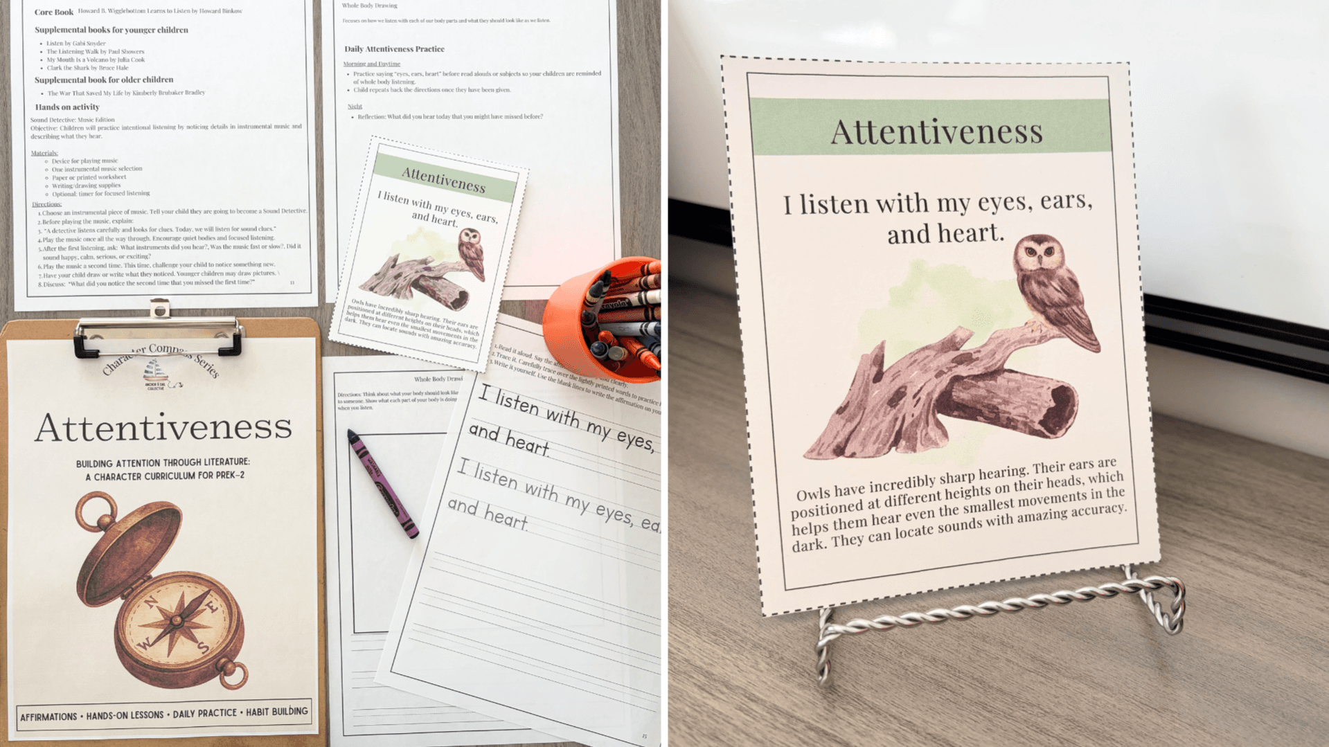 Character Compass: Attentiveness