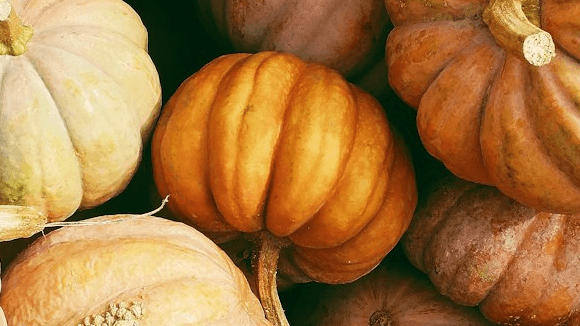 Step By Step Sourdough Pumpkins
