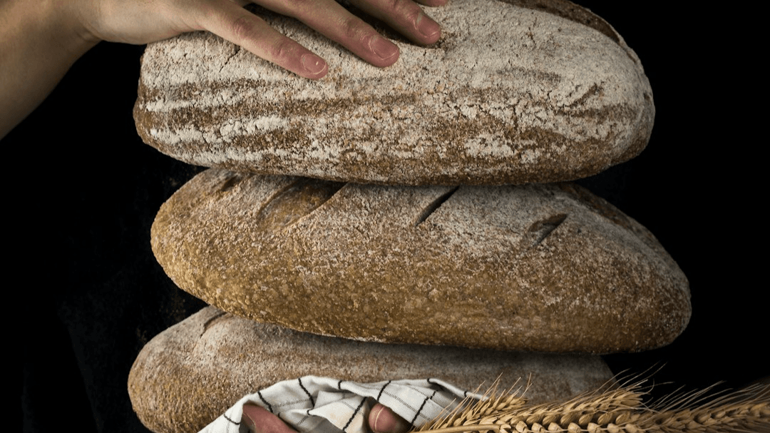 Jesus Feeds 5,000 Lesson