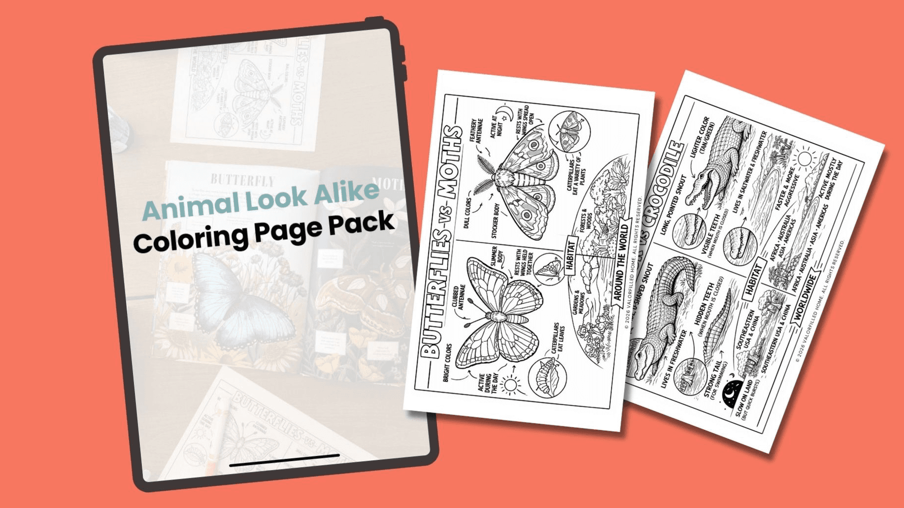 Animal Look Alike Coloring Page Pack