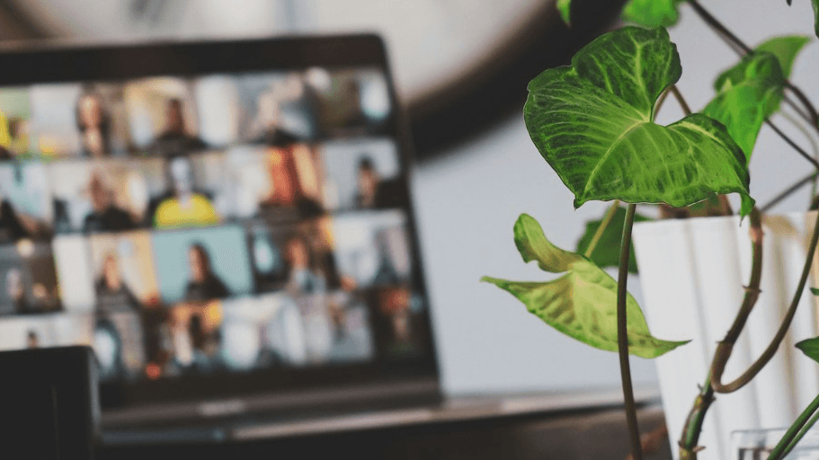 Founder Portrait Consultation