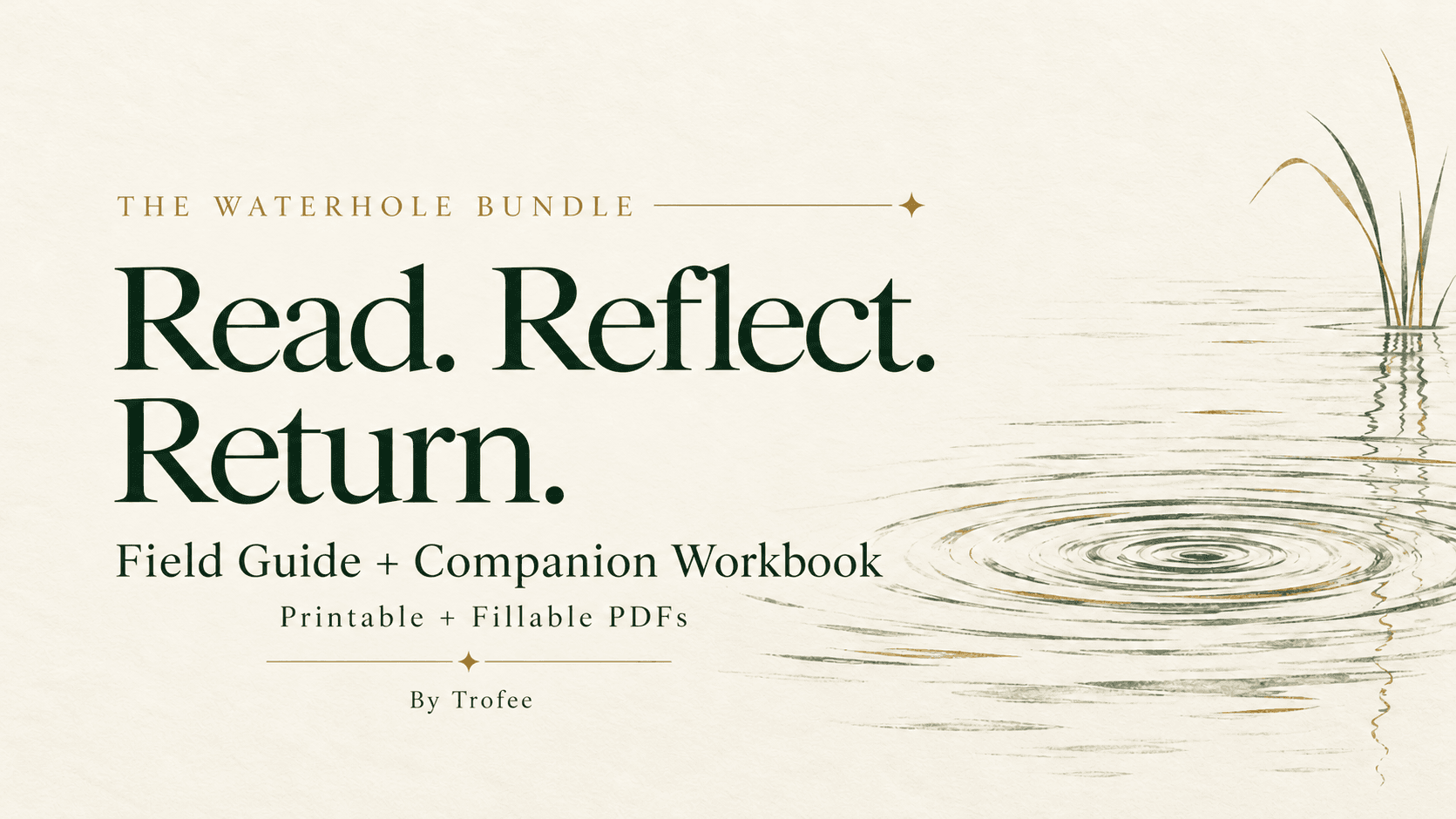 The Waterhole: Field Guide + Workbook Bundle