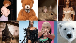 BOOK YOUR RISING SIGN ANIMAL IMPRINT PROFILE PDF 
