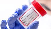 Become a Certified DOT Urine Collector 