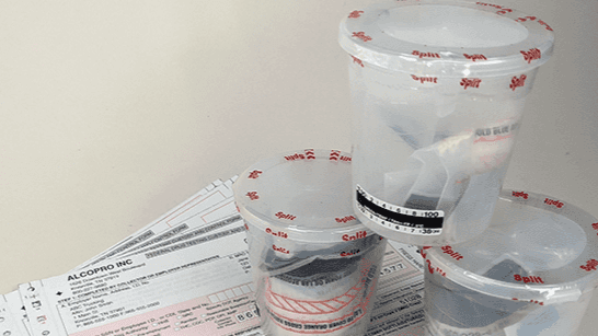 DOT Drug Testing Guide Supplies + Purchase Links🔗