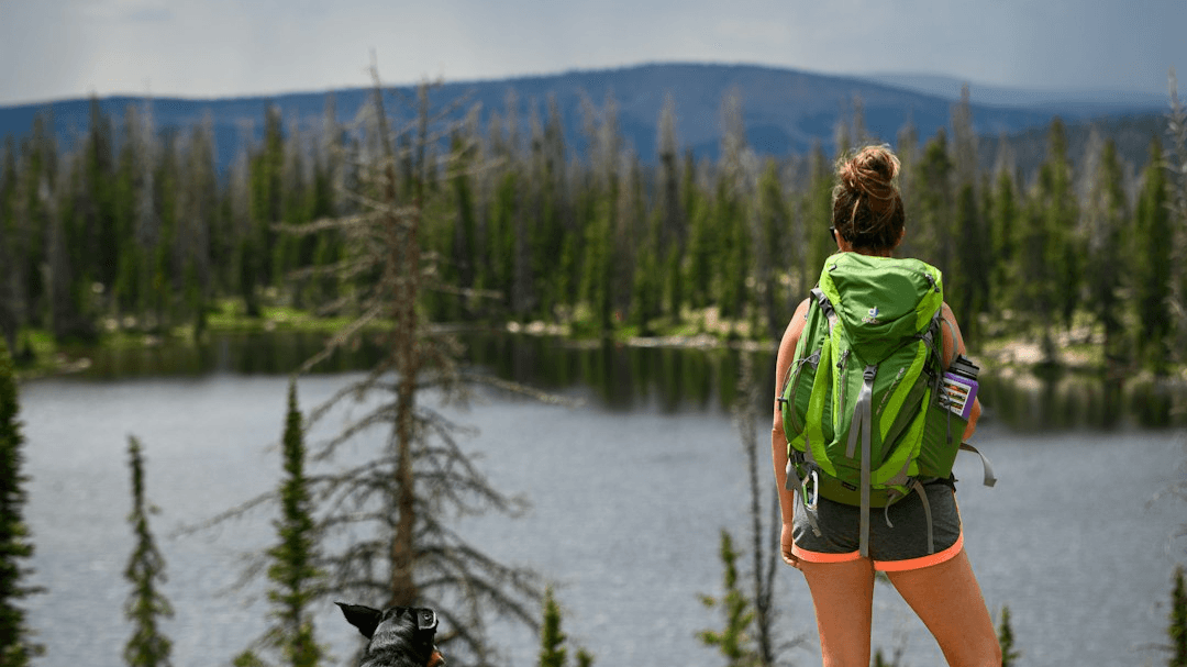 FREE 30-Minute DISCOVERY CALL