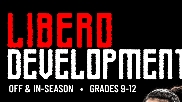 Libero Development Journal