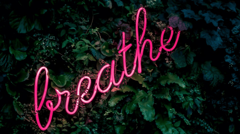 Breathwork, Sun 15th Nov @ The Wellness Barn 