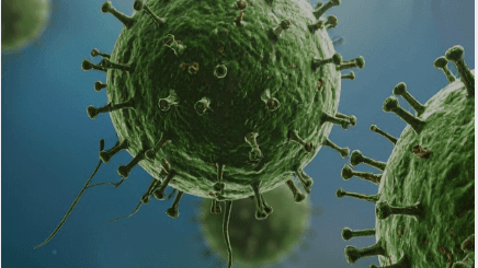 Antiviral Protocol