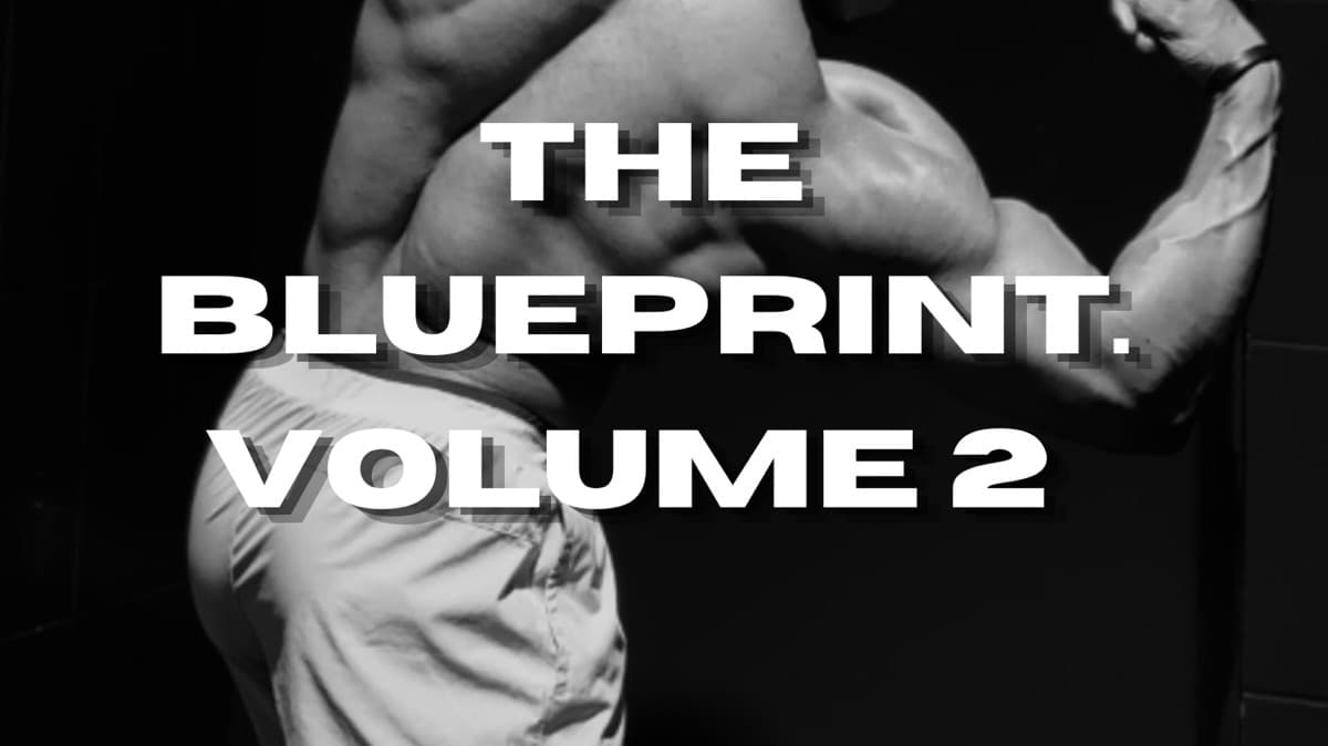 The Blueprint: Volume 2