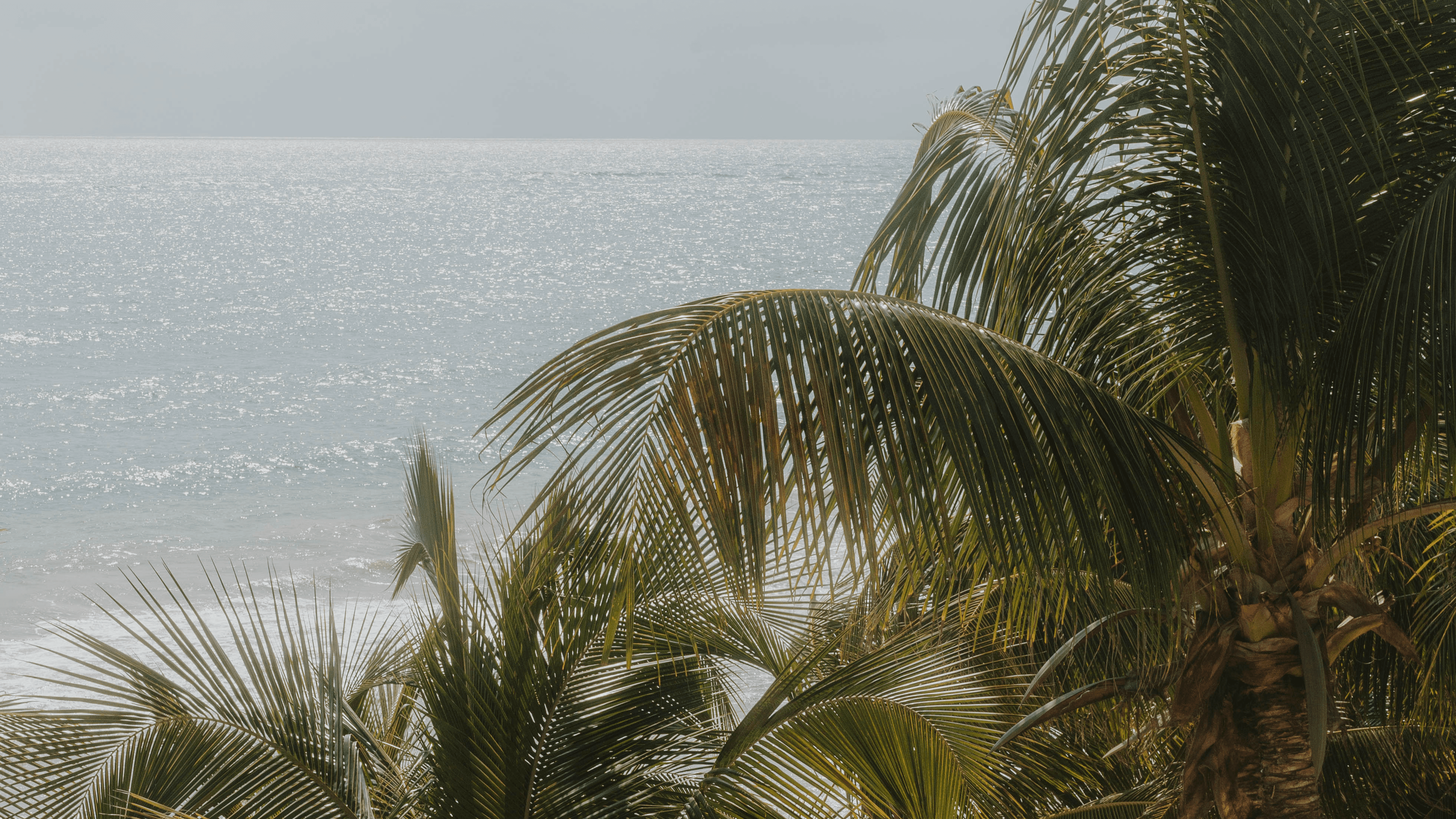 RUN TULUM MEMBERSHIP