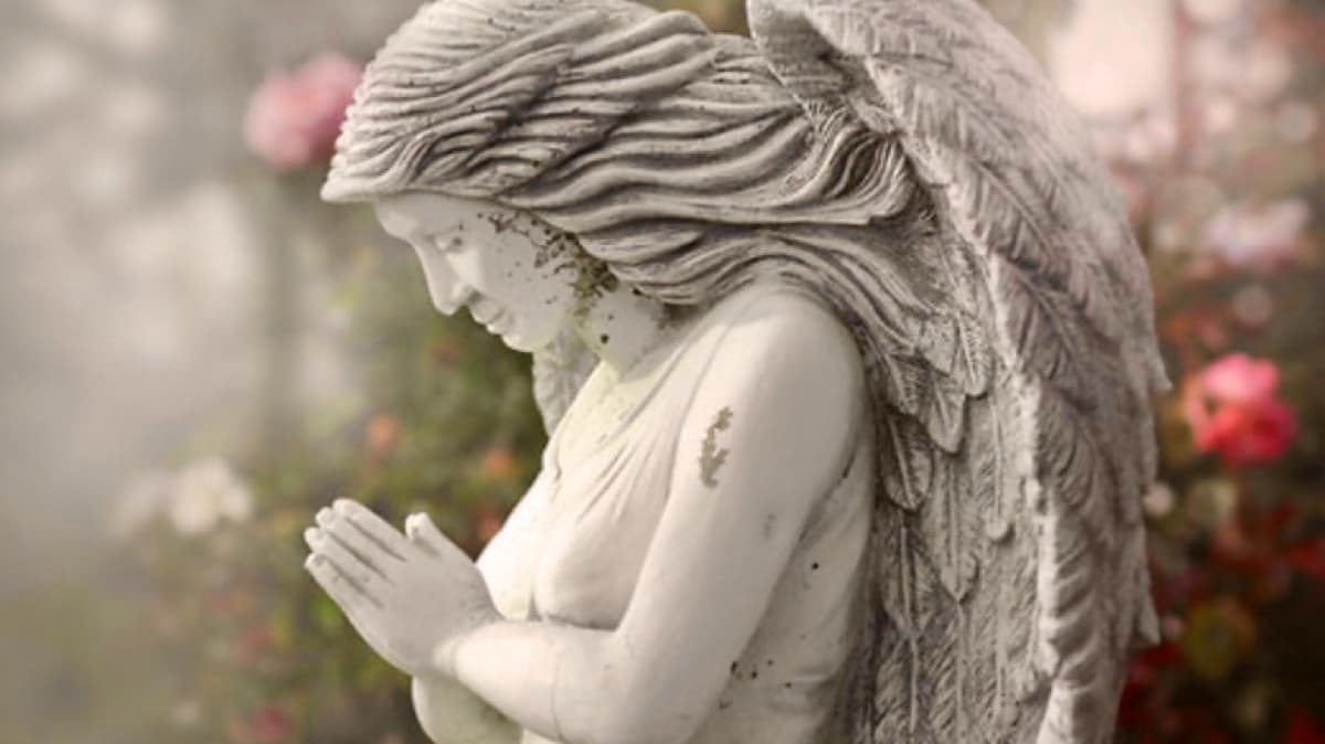 Mediumship Session