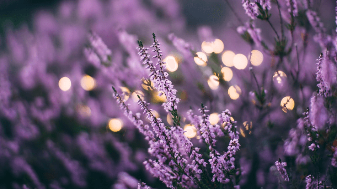 Psychic Intuitive Session