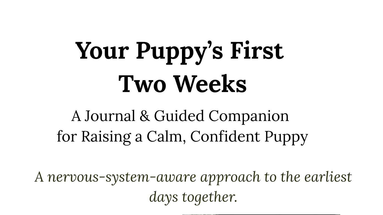 Your Puppy's First Two Weeks