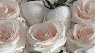 EB Ivory Roses & Gourmet Chocolate Box