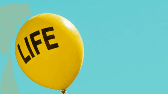 Life & Household Support