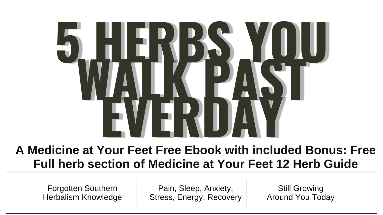 Get My Free 5 Herbs You Walk Past Every Guide Now!