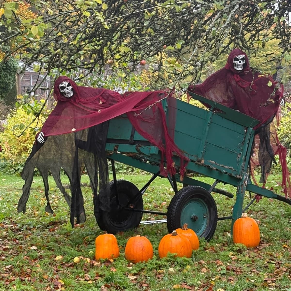 halloween in and around dublin guide 🎃 