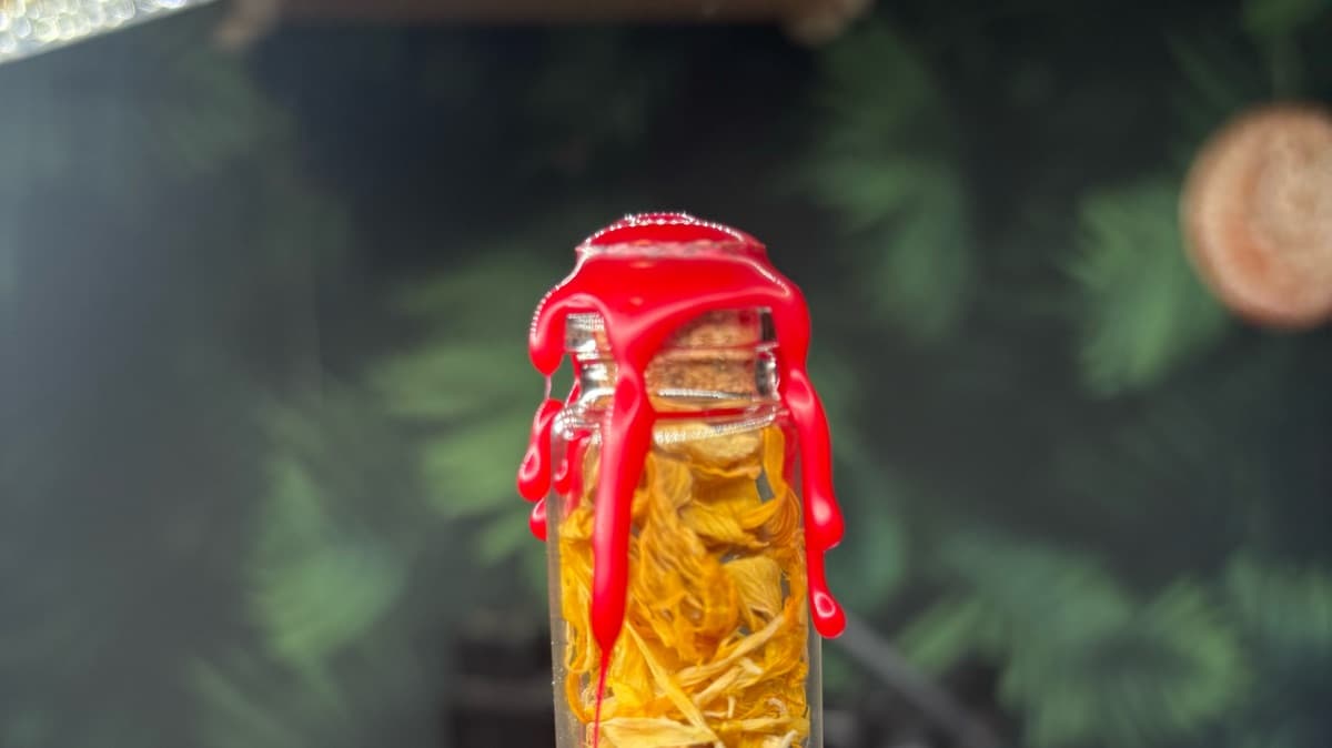 Mini Reading & Spell Jar