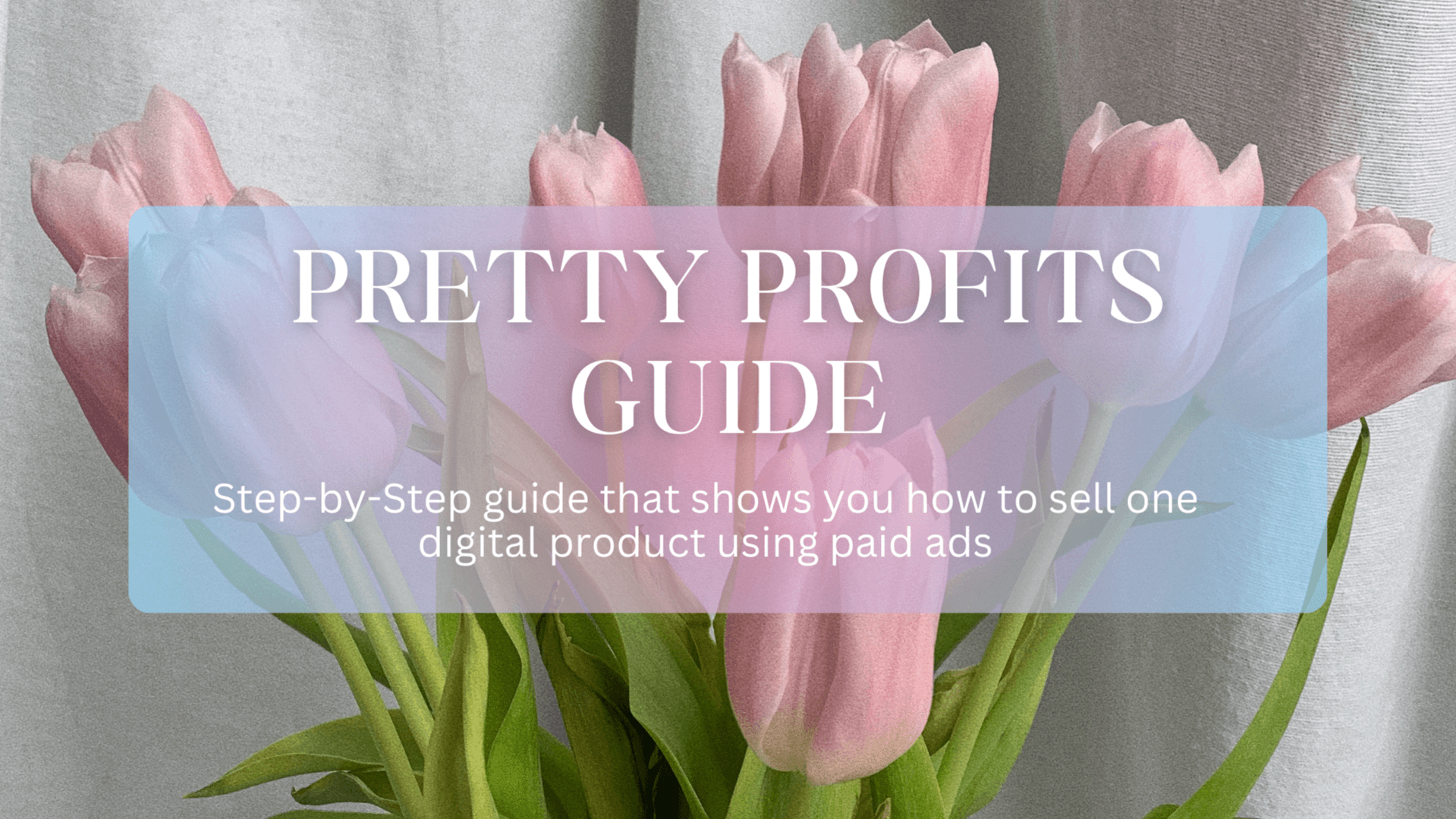 Pretty Profits Guide