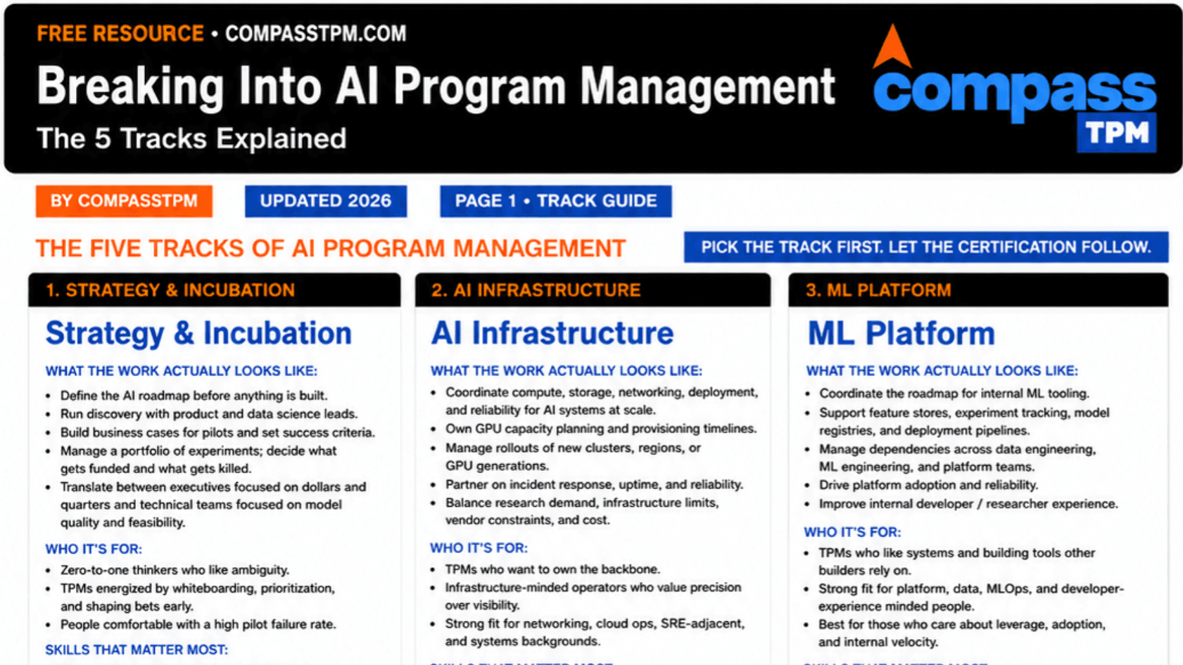 FREE - The Five Tracks of AI Program Management