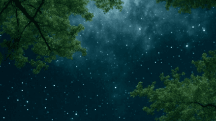 Yoga Nidra for Surrender