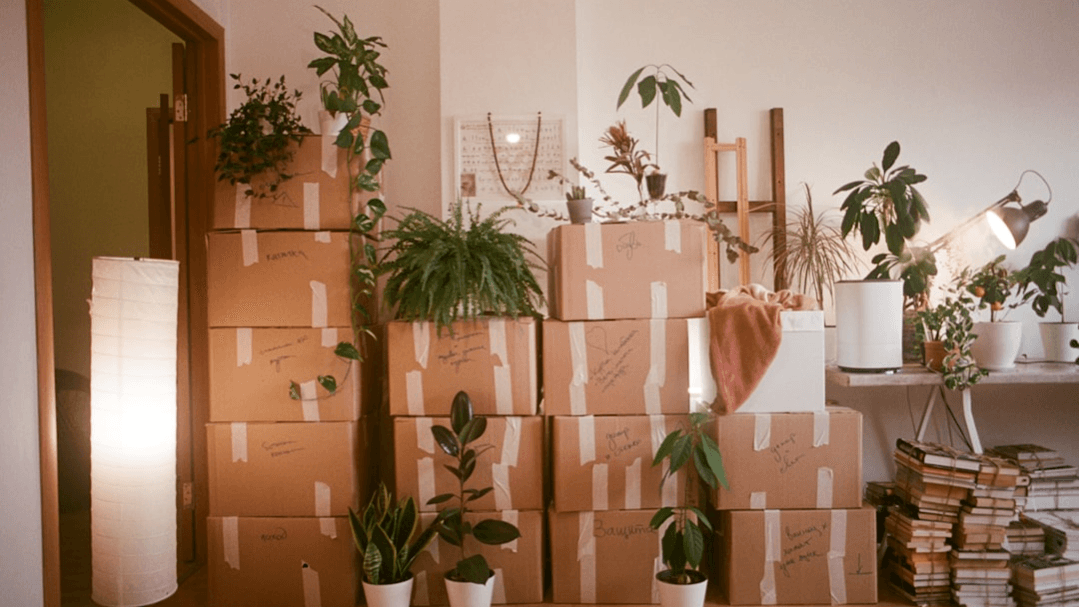 Get My DOWNSIZING Guide 