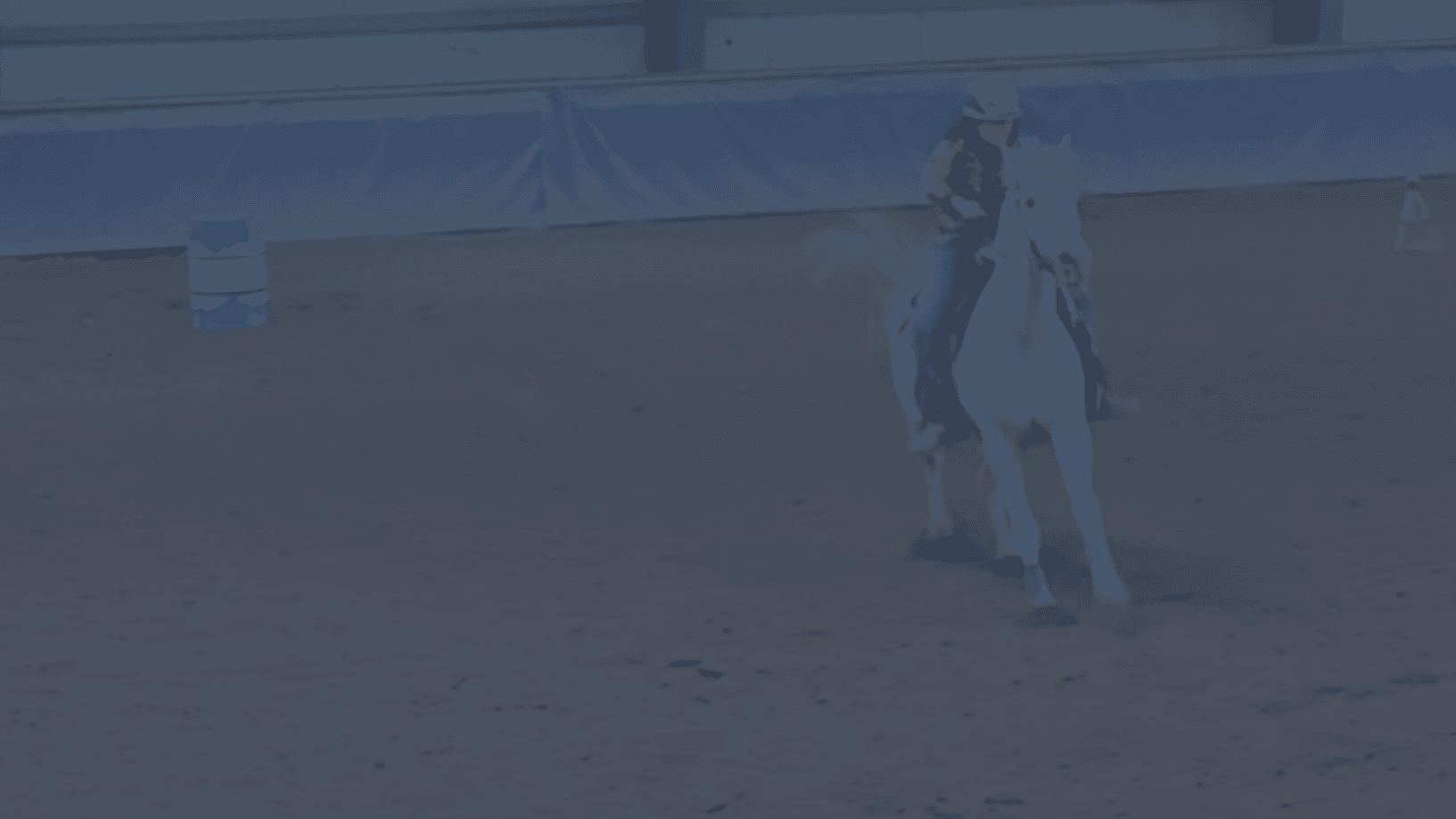 The 1D Barrel Horse Conditioning Playbook