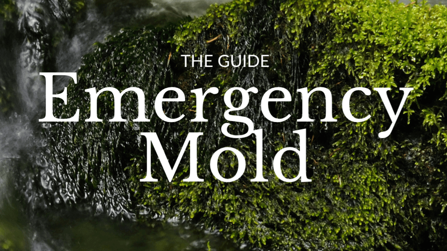 Emergency Mold Guide