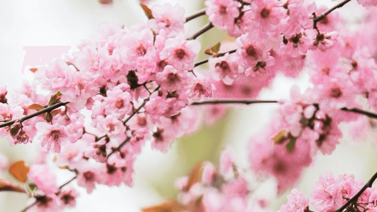 Break Free From Anxiety, Poor Sleep Stuck Patterns